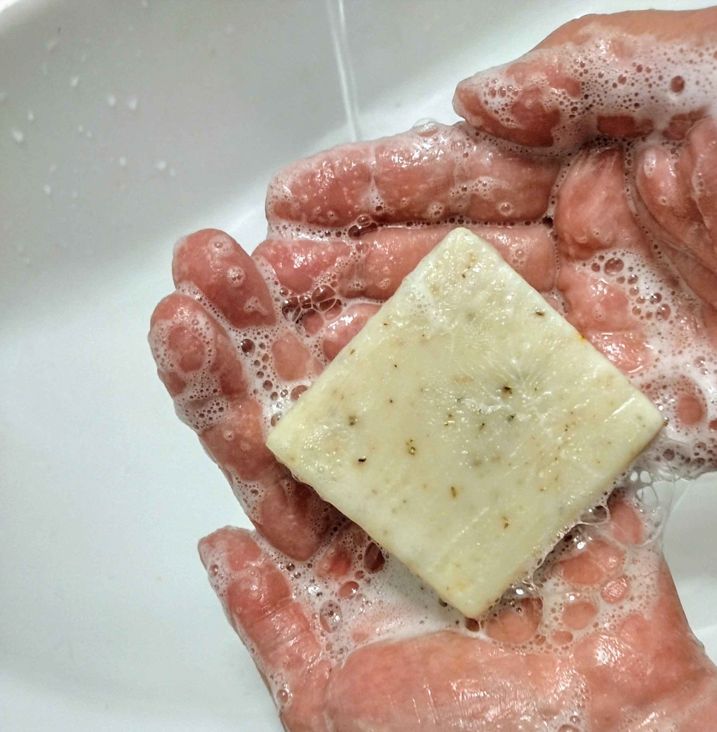 IMG_20240818_111016755_HDR2